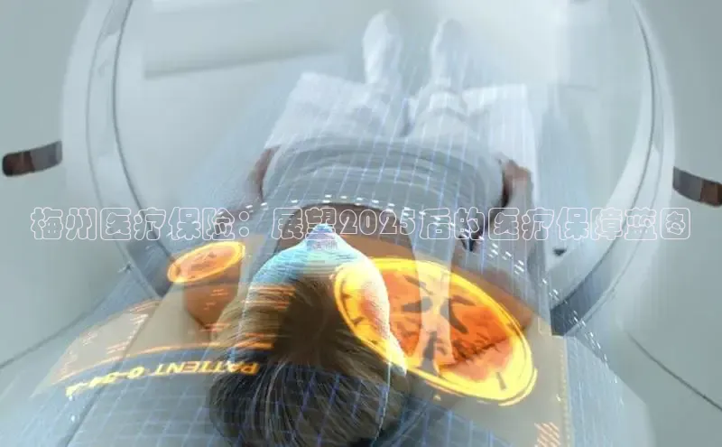 Mksport体育app官网入口