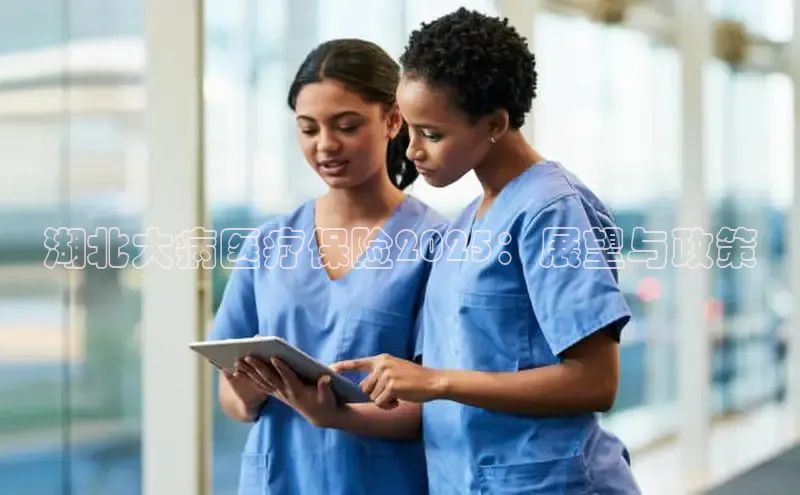 MK体育APP下载地址