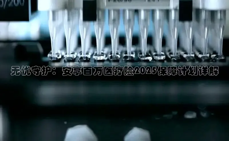 mk体育官网入口